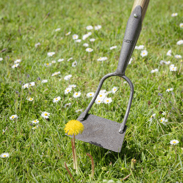 Use of the JCB Garden Hoe  -JCBHDUHO01